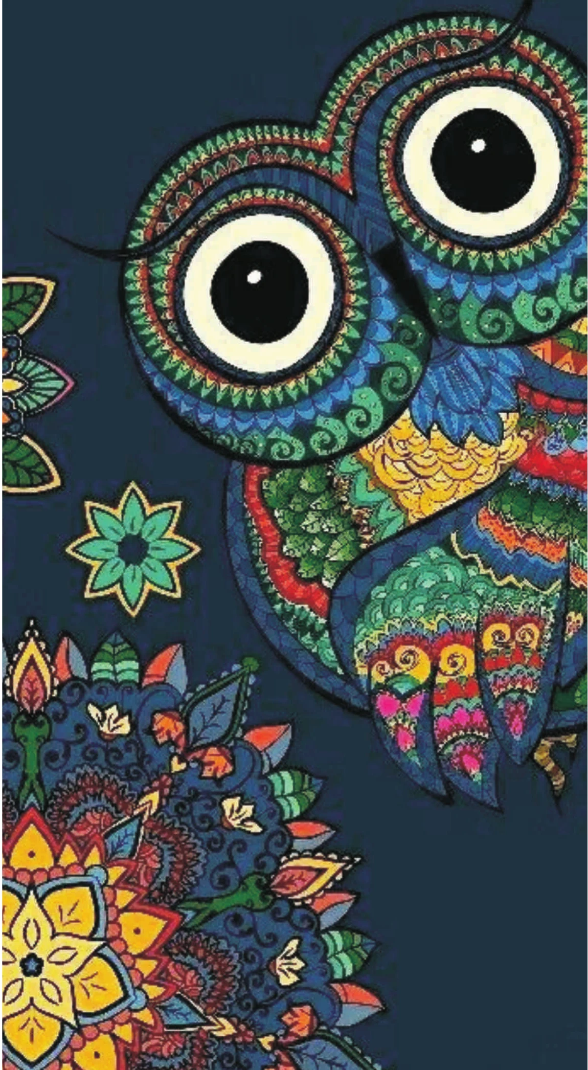 Boho Paisley Folk Art Mandala Owl