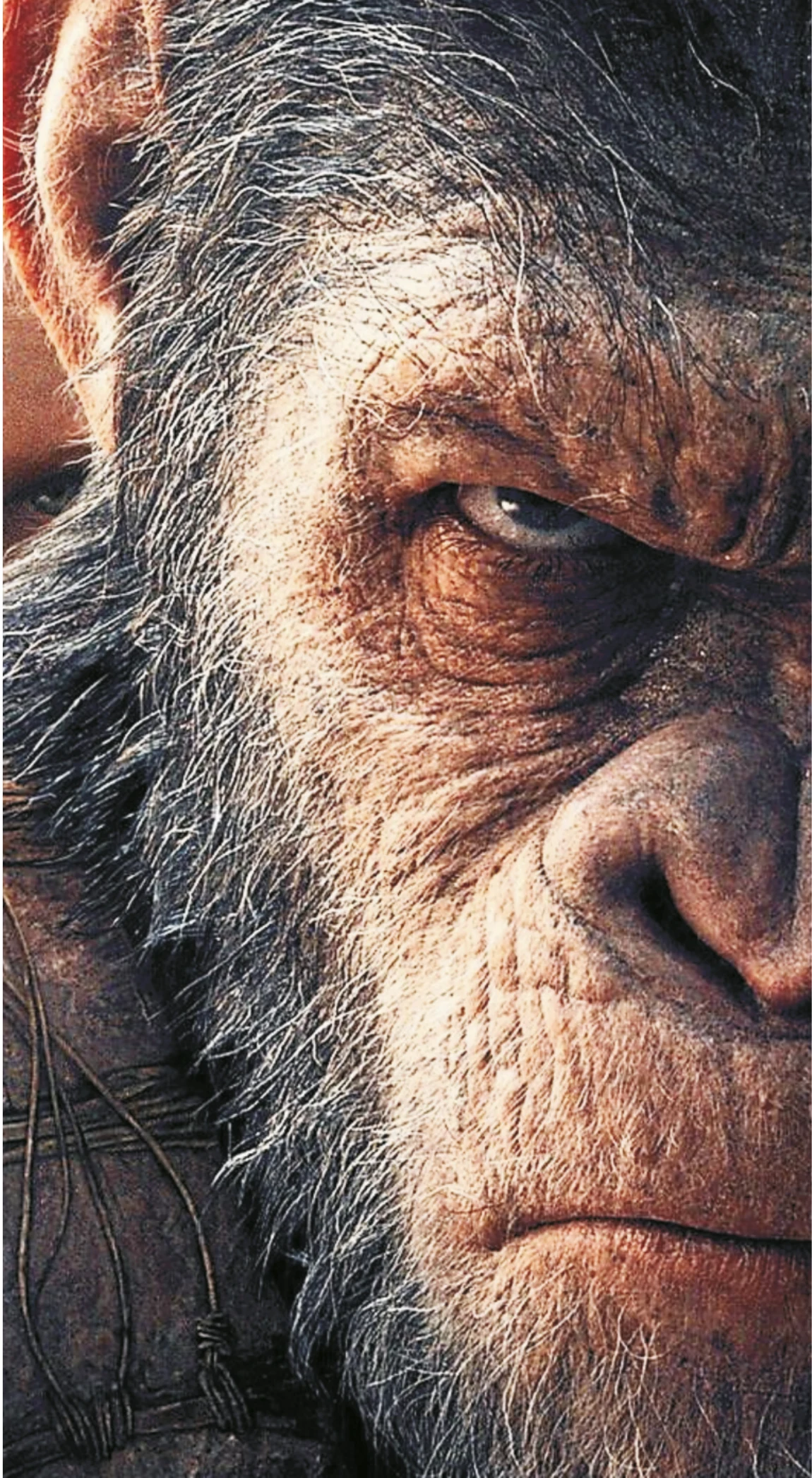 Caesar Planet of the Apes Intense Portrait Premium Mobile Skin Wrap