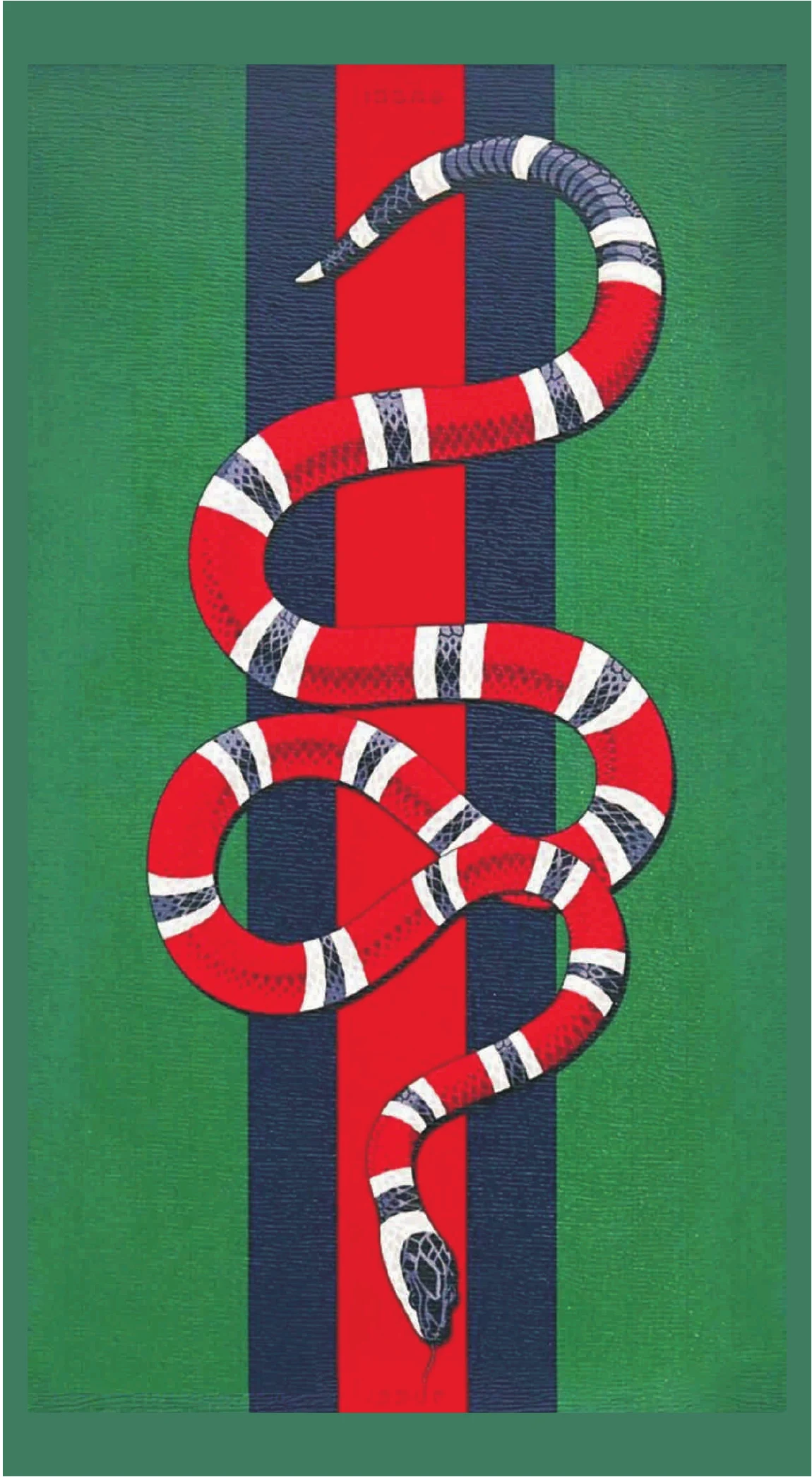 Gucci King Snake Scarlet & Ivory Web