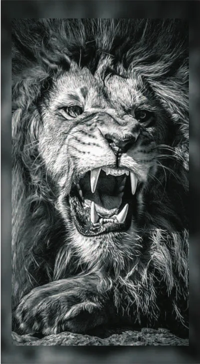 Monochrome Roaring Lion Fur B&W High-Detail
