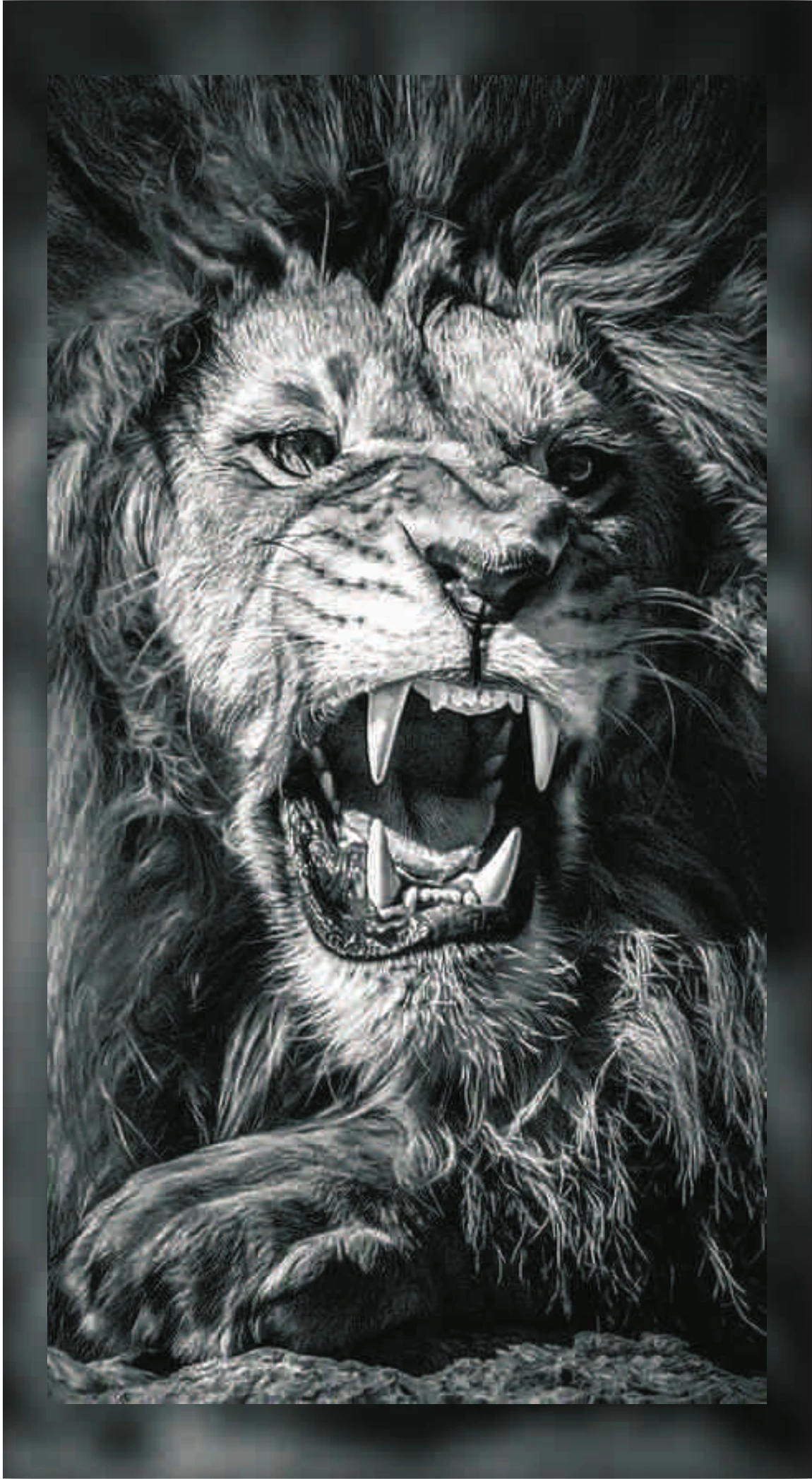 Monochrome Roaring Lion Fur B&W High-Detail Premium Mobile Skin Wrap