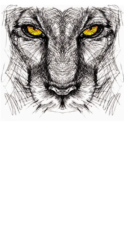 Panther Lynx Pencil Sketch Amber Eyes