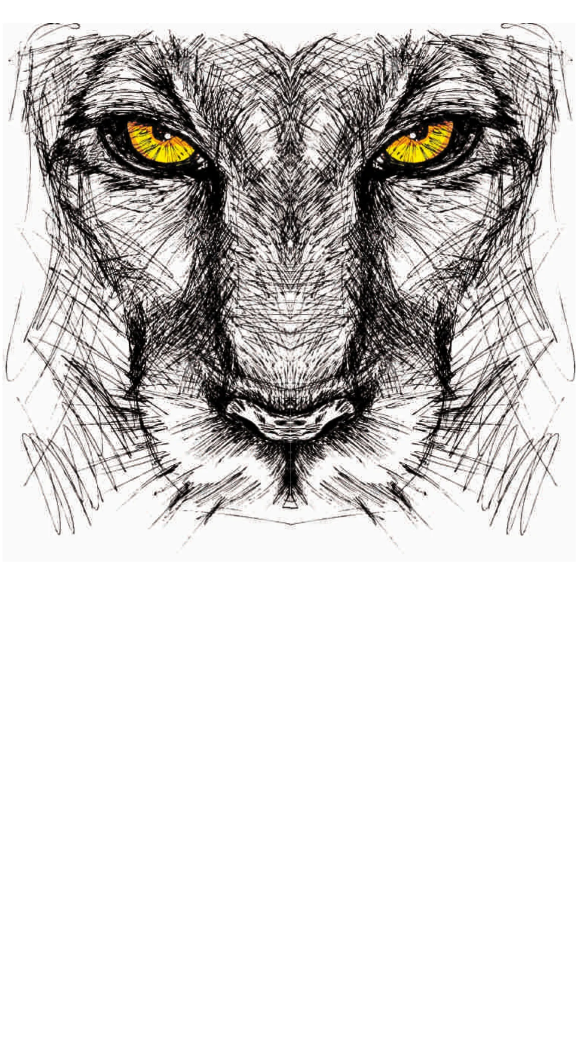 Panther Lynx Pencil Sketch Amber Eyes