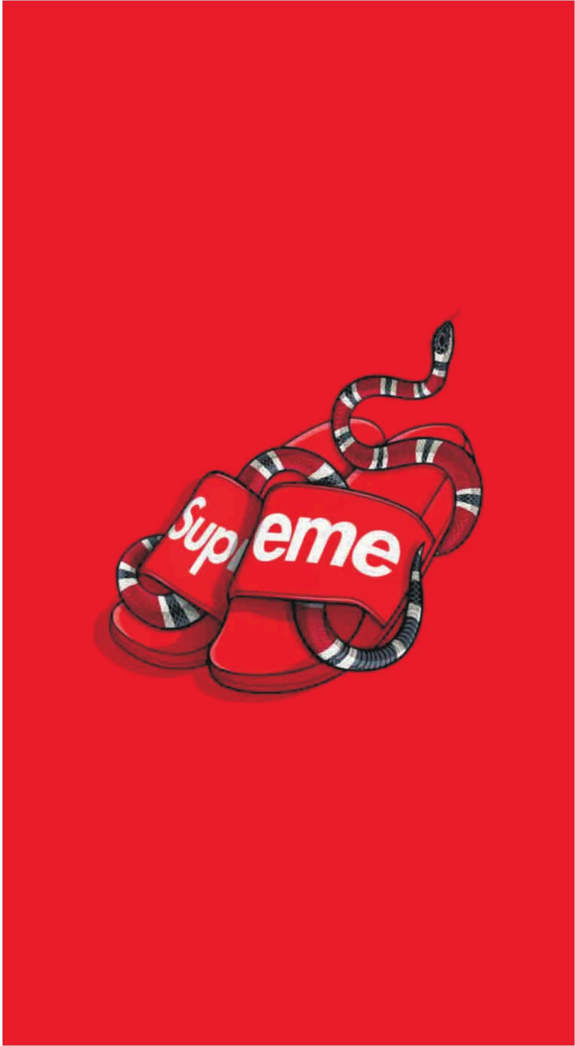 Supreme Slides with Gucci King Snake